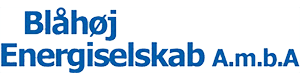 Vinduespudsning Blaahoej Energiselskab